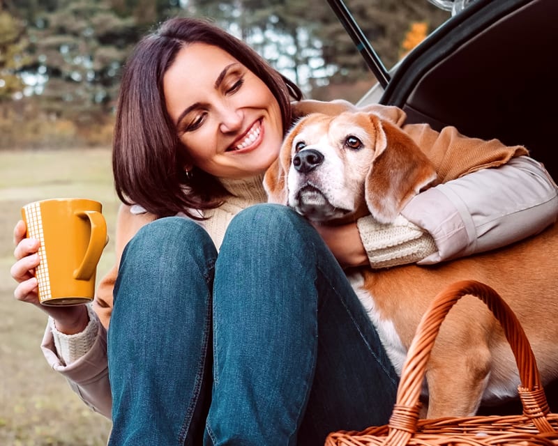Veterinary Wellness Exams in Calgary