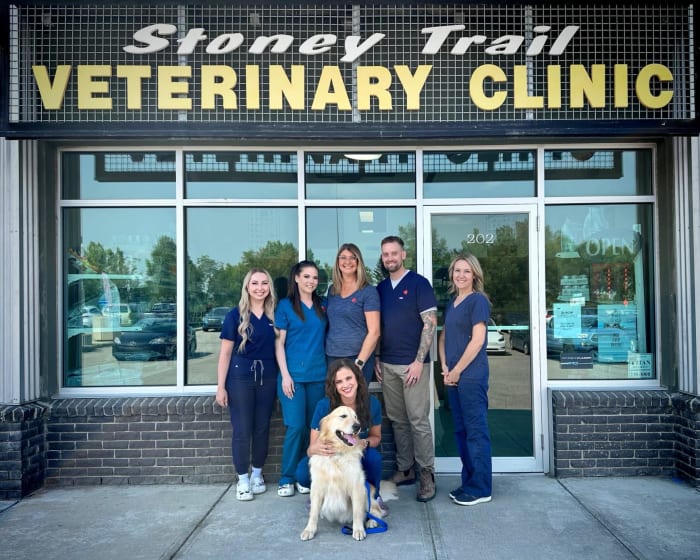 About Our Hospital | Stoney Trail Veterinary Clinic